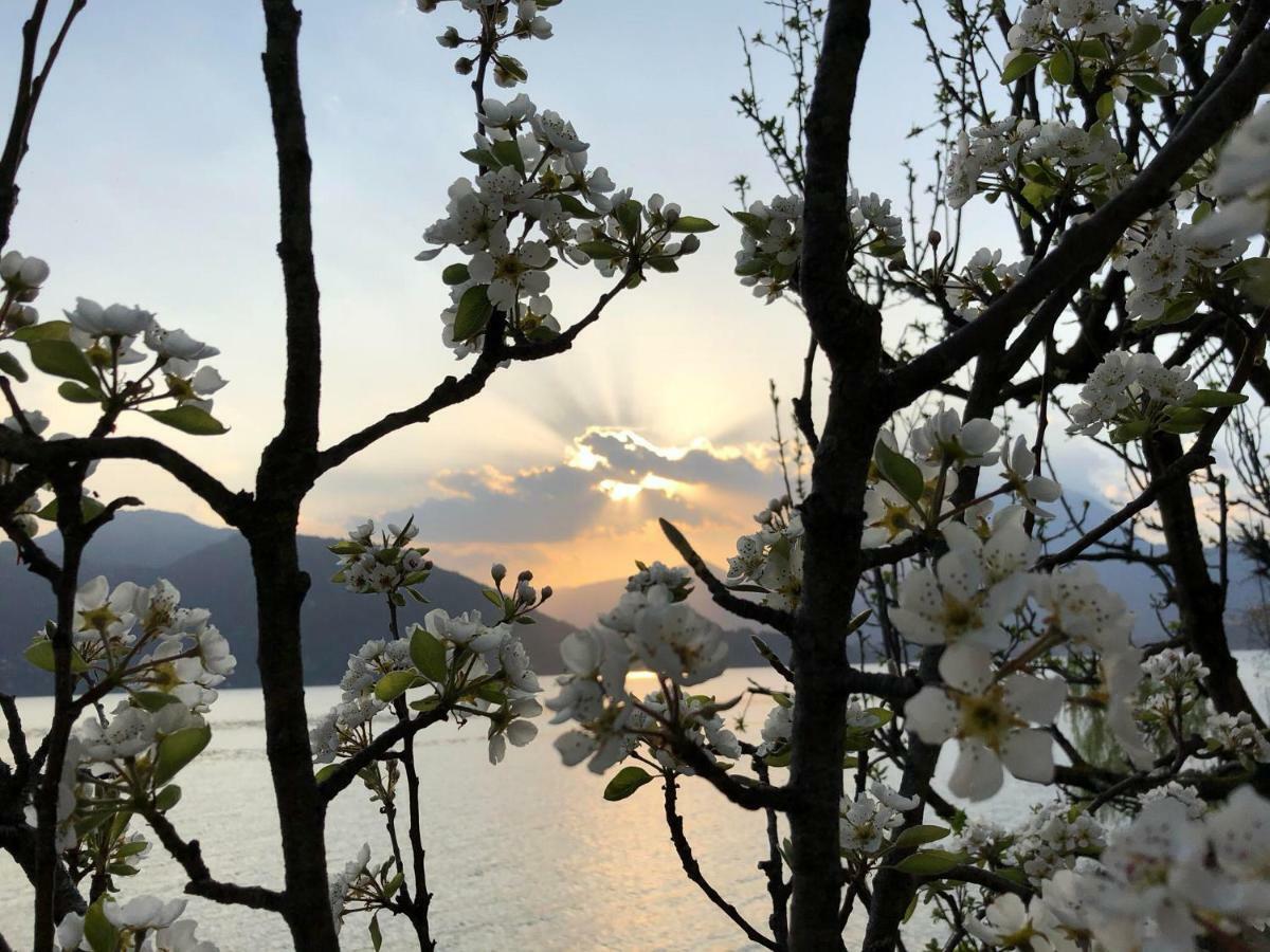 La Casetta Varenna Exteriör bild